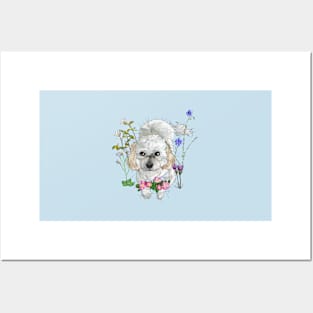 Havanese Posters and Art